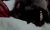 House of the Living Dead Movie Still 2