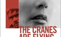 The Cranes Are Flying Movie Still 8