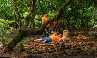 Sanky Panky 4: The Safari Movie Still 6
