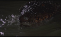 Killer Crocodile Movie Still 3