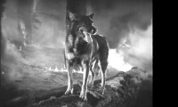 Clash of the Wolves Movie Still 2