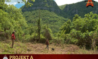 Projekt A - A Journey to Anarchist Projects in Europe Movie Still 2