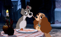 Lady and the Tramp Movie Still 5