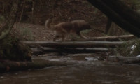 The Call of the Wild: Dog of the Yukon Movie Still 6