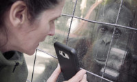 Zoofobia Movie Still 4