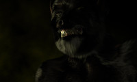 Wolves of Wuhan Movie Still 2
