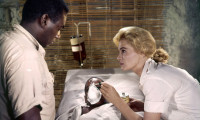 The Sins of Rachel Cade Movie Still 3