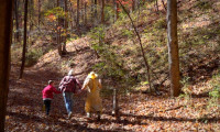 The Naked Carpenter Movie Still 7