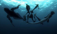 Mermaids: The Body Found Movie Still 6