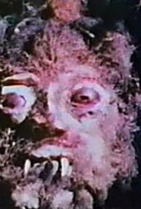 Curse of Bigfoot Poster 1