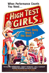Six Swedish Girls at a Pump Poster 1