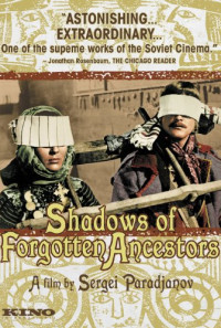 Shadows of Forgotten Ancestors Poster 1