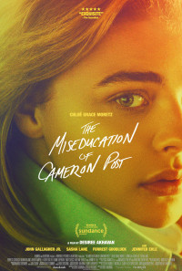 The Miseducation of Cameron Post Poster 1