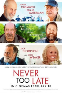 Never Too Late Poster 1