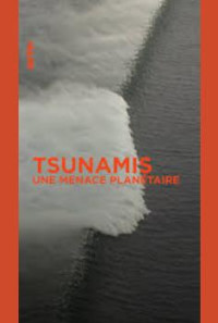 Tsunamis: Facing a Global Threat Poster 1