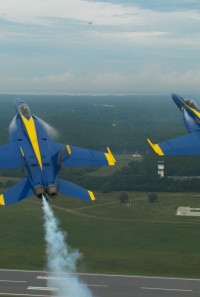 The Blue Angels Poster 1