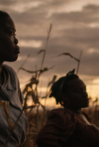 Tobacco Burn Poster 1