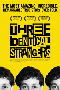 Three Identical Strangers Poster 1
