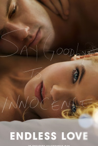Endless Love Poster 1