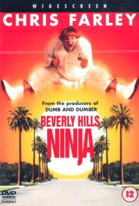 Beverly Hills Ninja Poster 1
