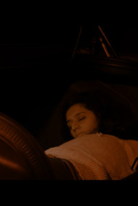 Agent Jayne: A Woman with a Mission Poster 1
