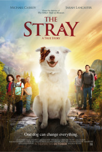 The Stray Poster 1