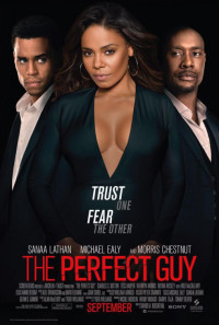 The Perfect Guy Poster 1