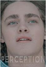Perception Poster 1